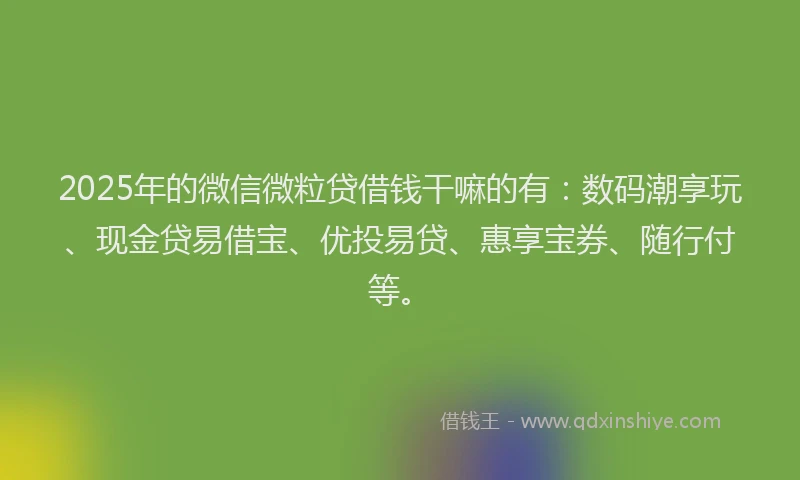 2025年的微信微粒贷借钱干嘛的有：数码潮享玩、现金贷易借宝、优投易贷、惠享宝券、随行付等。