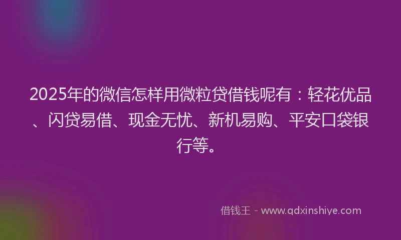 2025年的微信怎样用微粒贷借钱呢有：轻花优品、闪贷易借、现金无忧、新机易购、平安口袋银行等。