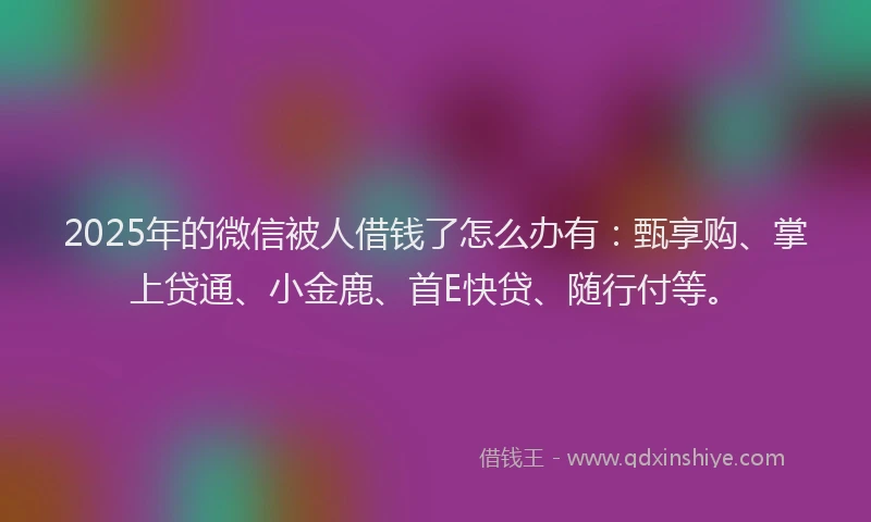 2025年的微信被人借钱了怎么办有：甄享购、掌上贷通、小金鹿、首E快贷、随行付等。
