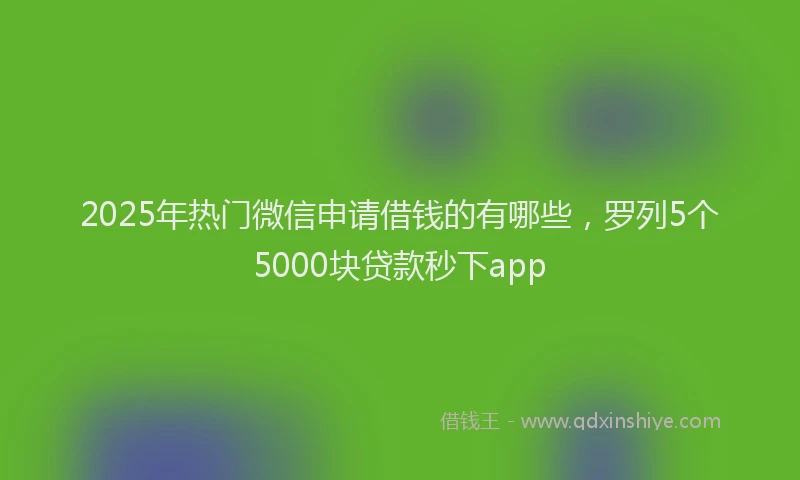 2025年热门微信申请借钱的有哪些，罗列5个5000块贷款秒下app