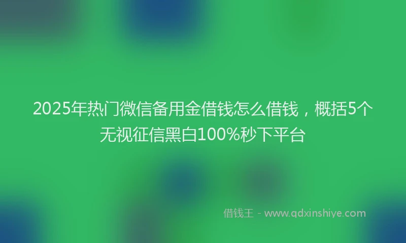 2025年热门微信备用金借钱怎么借钱，概括5个无视征信黑白100%秒下平台