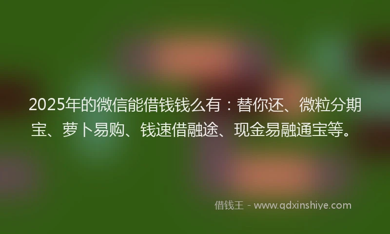 2025年的微信能借钱钱么有：替你还、微粒分期宝、萝卜易购、钱速借融途、现金易融通宝等。
