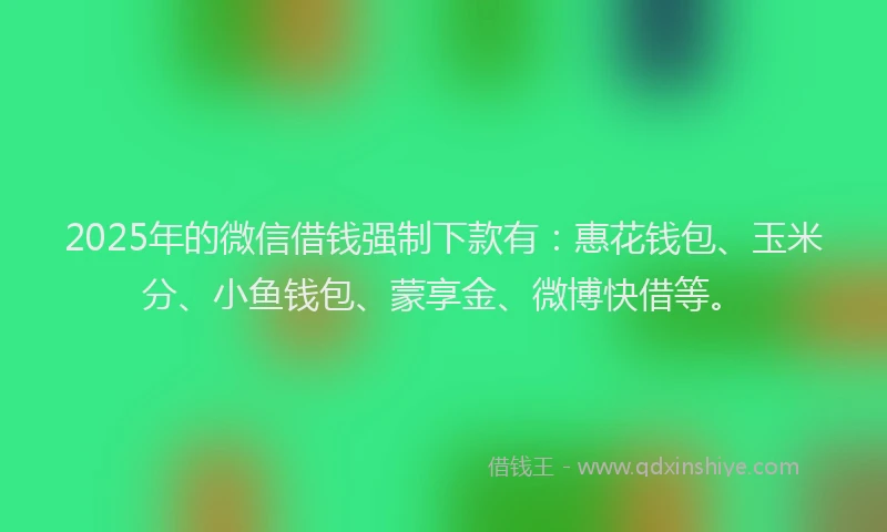 2025年的微信借钱强制下款有：惠花钱包、玉米分、小鱼钱包、蒙享金、微博快借等。
