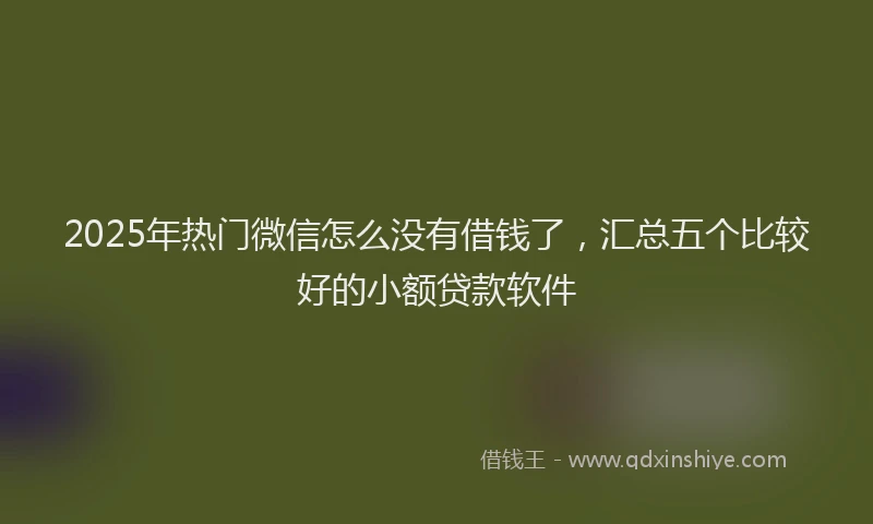 2025年热门微信怎么没有借钱了，汇总五个比较好的小额贷款软件