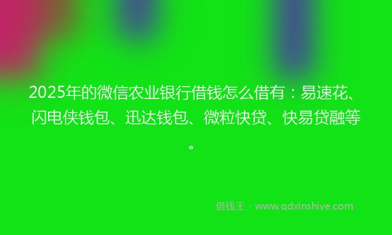 2025年的微信农业银行借钱怎么借有：易速花、闪电侠钱包、迅达钱包、微粒快贷、快易贷融等。