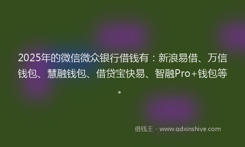 2025年的微信微众银行借钱有：新浪易借、万信钱包、慧融钱包、借贷宝快易、智融Pro+钱包等。