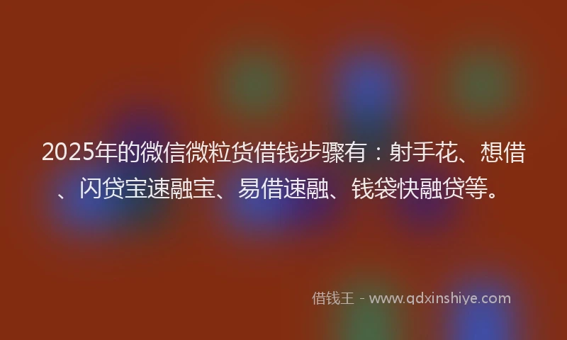 2025年的微信微粒货借钱步骤有：射手花、想借、闪贷宝速融宝、易借速融、钱袋快融贷等。