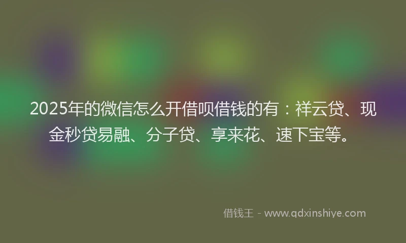 2025年的微信怎么开借呗借钱的有：祥云贷、现金秒贷易融、分子贷、享来花、速下宝等。