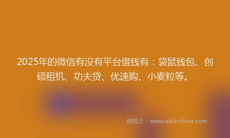 2025年的微信有没有平台借钱有：袋鼠钱包、创硕租机、功夫贷、优速购、小麦粒等。