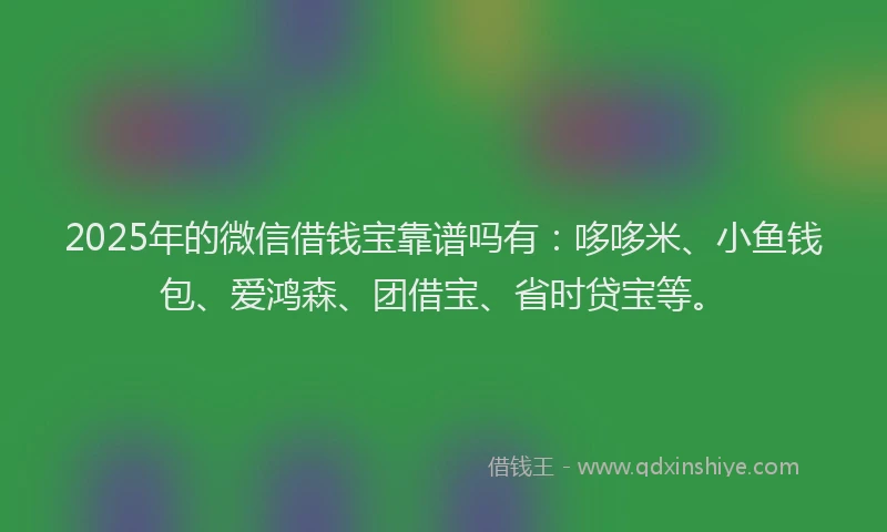 2025年的微信借钱宝靠谱吗有：哆哆米、小鱼钱包、爱鸿森、团借宝、省时贷宝等。