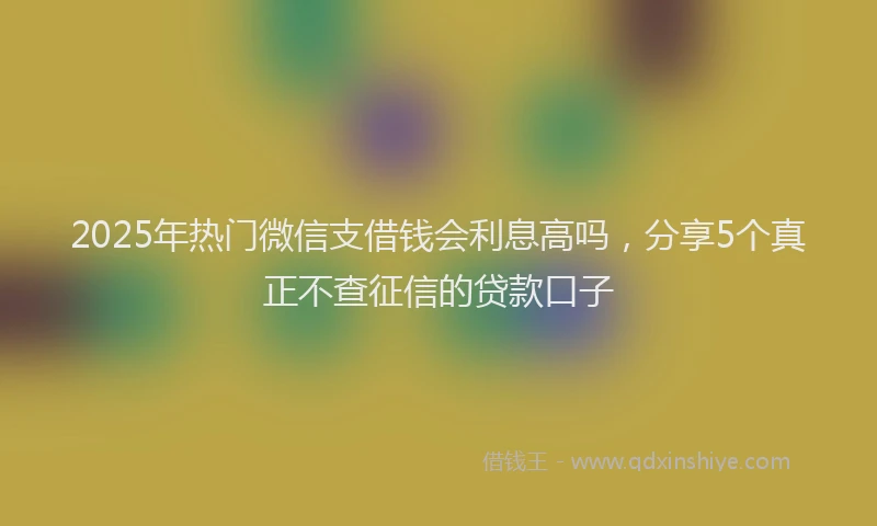 2025年热门微信支借钱会利息高吗，分享5个真正不查征信的贷款口子