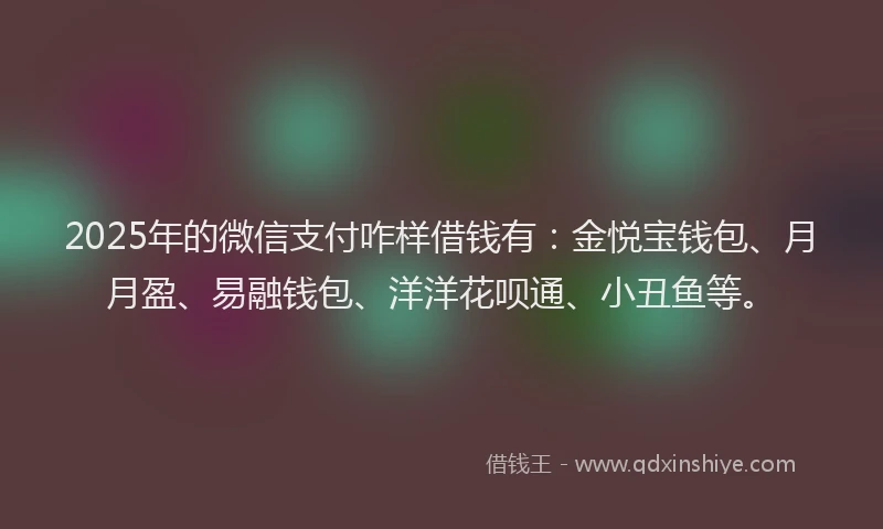 2025年的微信支付咋样借钱有：金悦宝钱包、月月盈、易融钱包、洋洋花呗通、小丑鱼等。
