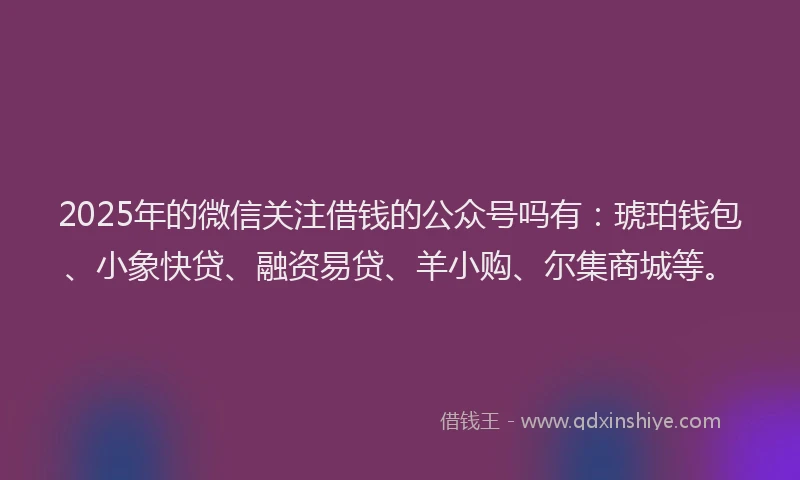 2025年的微信关注借钱的公众号吗有：琥珀钱包、小象快贷、融资易贷、羊小购、尔集商城等。