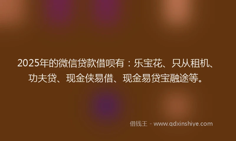 2025年的微信贷款借呗有：乐宝花、只从租机、功夫贷、现金侠易借、现金易贷宝融途等。