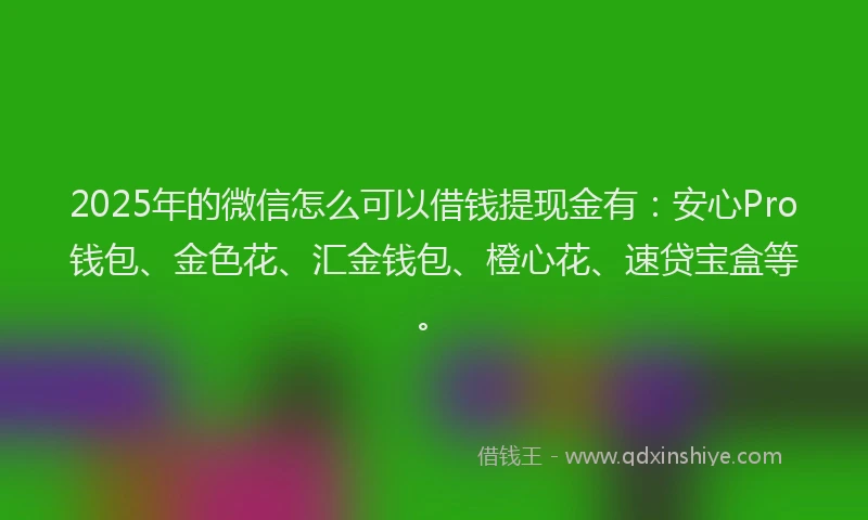 2025年的微信怎么可以借钱提现金有：安心Pro钱包、金色花、汇金钱包、橙心花、速贷宝盒等。
