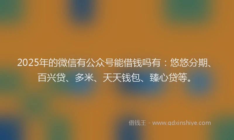 2025年的微信有公众号能借钱吗有：悠悠分期、百兴贷、多米、天天钱包、臻心贷等。