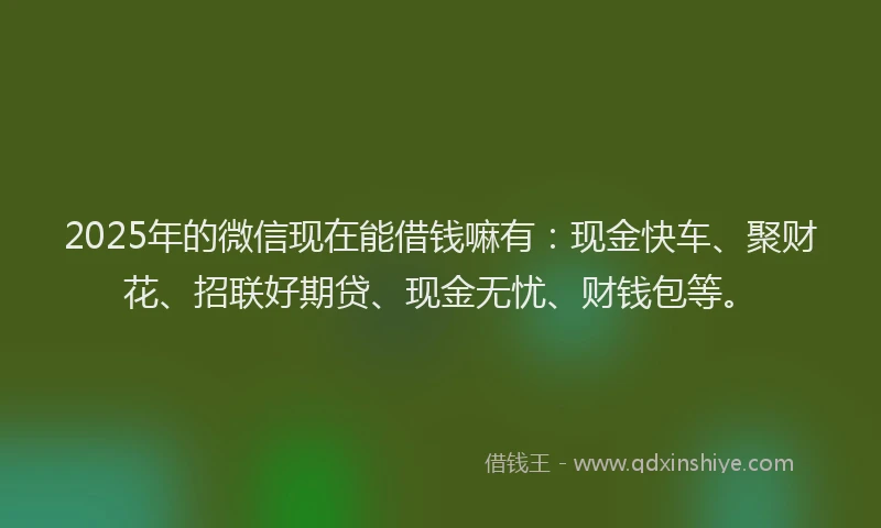 2025年的微信现在能借钱嘛有：现金快车、聚财花、招联好期贷、现金无忧、财钱包等。