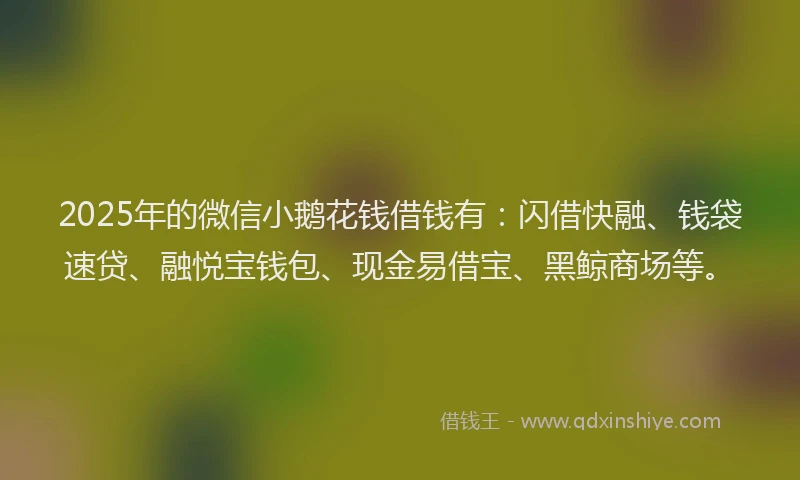 2025年的微信小鹅花钱借钱有：闪借快融、钱袋速贷、融悦宝钱包、现金易借宝、黑鲸商场等。