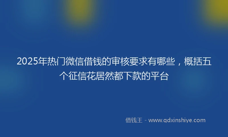 2025年热门微信借钱的审核要求有哪些，概括五个征信花居然都下款的平台