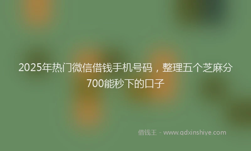 2025年热门微信借钱手机号码，整理五个芝麻分700能秒下的口子