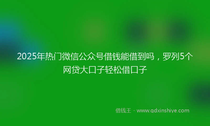 2025年热门微信公众号借钱能借到吗，罗列5个网贷大口子轻松借口子