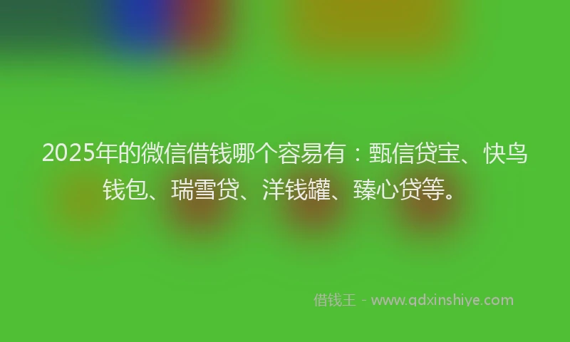 2025年的微信借钱哪个容易有：甄信贷宝、快鸟钱包、瑞雪贷、洋钱罐、臻心贷等。