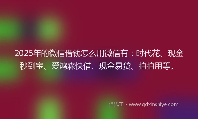 2025年的微信借钱怎么用微信有：时代花、现金秒到宝、爱鸿森快借、现金易贷、拍拍用等。