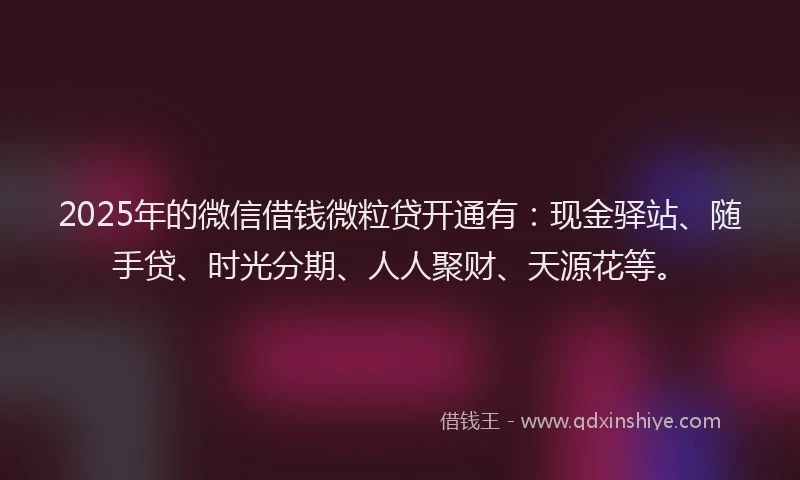 2025年的微信借钱微粒贷开通有：现金驿站、随手贷、时光分期、人人聚财、天源花等。