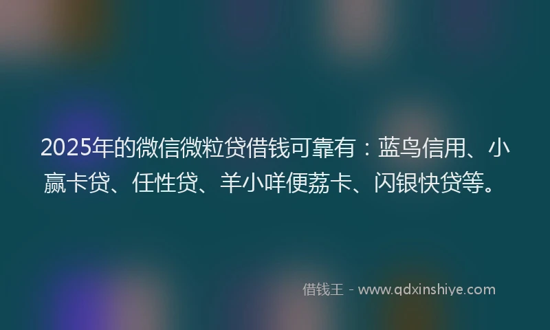 2025年的微信微粒贷借钱可靠有：蓝鸟信用、小赢卡贷、任性贷、羊小咩便荔卡、闪银快贷等。
