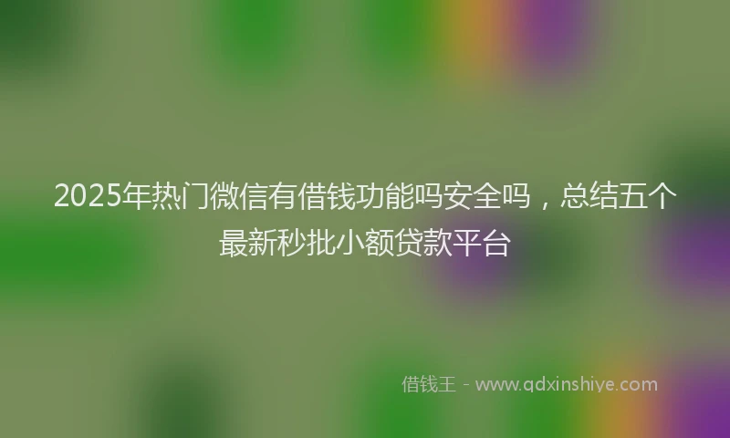 2025年热门微信有借钱功能吗安全吗，总结五个最新秒批小额贷款平台