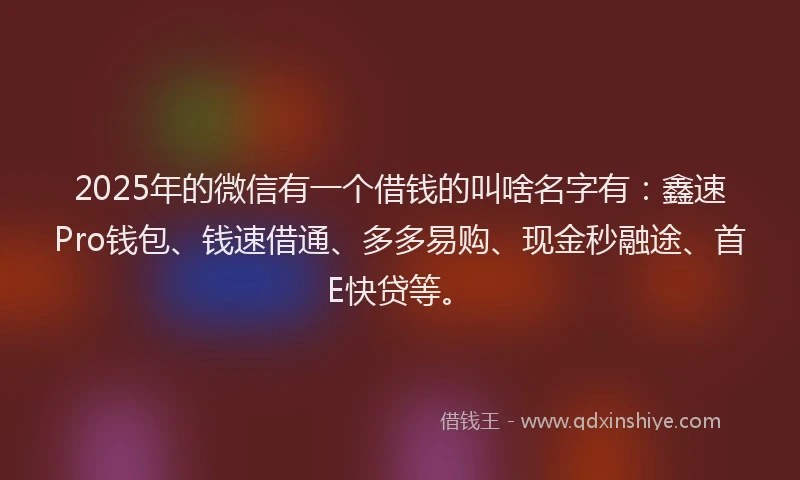 2025年的微信有一个借钱的叫啥名字有：鑫速Pro钱包、钱速借通、多多易购、现金秒融途、首E快贷等。