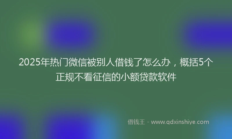 2025年热门微信被别人借钱了怎么办，概括5个正规不看征信的小额贷款软件