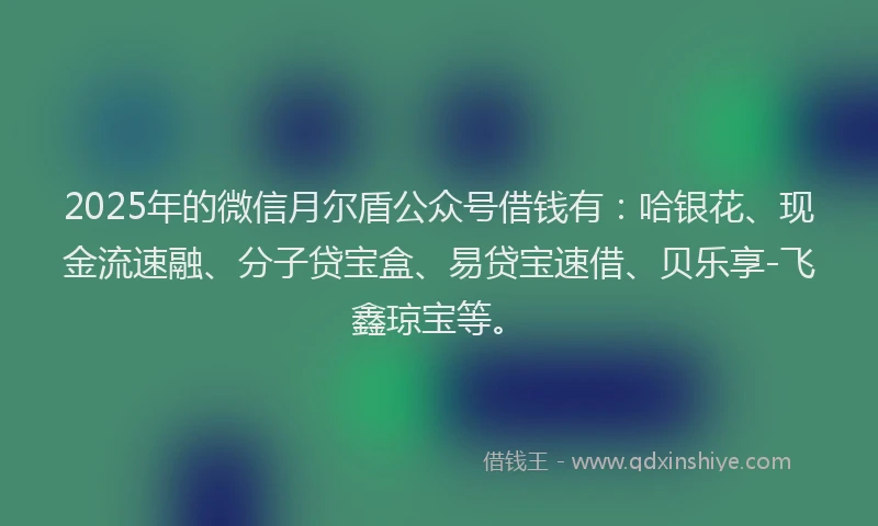 2025年的微信月尔盾公众号借钱有：哈银花、现金流速融、分子贷宝盒、易贷宝速借、贝乐享-飞鑫琼宝等。