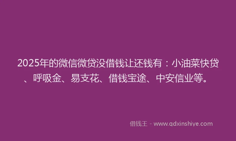 2025年的微信微贷没借钱让还钱有：小油菜快贷、呼吸金、易支花、借钱宝途、中安信业等。