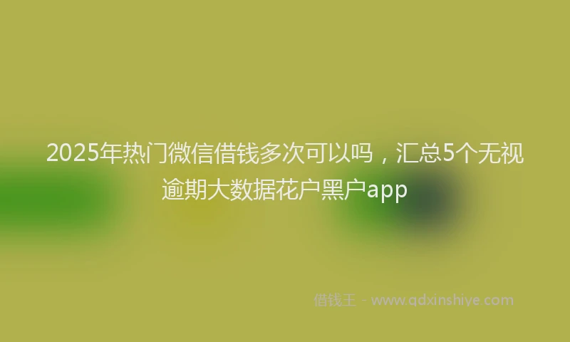 2025年热门微信借钱多次可以吗，汇总5个无视逾期大数据花户黑户app