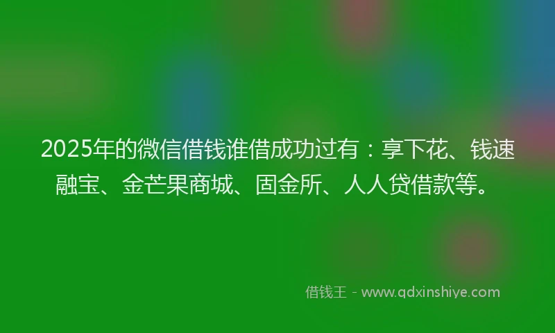 2025年的微信借钱谁借成功过有：享下花、钱速融宝、金芒果商城、固金所、人人贷借款等。