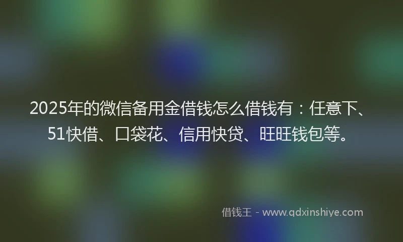 2025年的微信备用金借钱怎么借钱有：任意下、51快借、口袋花、信用快贷、旺旺钱包等。