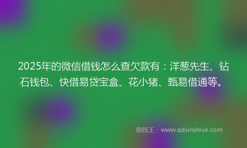2025年的微信借钱怎么查欠款有：洋葱先生、钻石钱包、快借易贷宝盒、花小猪、甄易借通等。