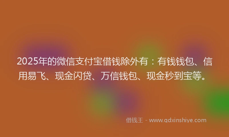 2025年的微信支付宝借钱除外有：有钱钱包、信用易飞、现金闪贷、万信钱包、现金秒到宝等。