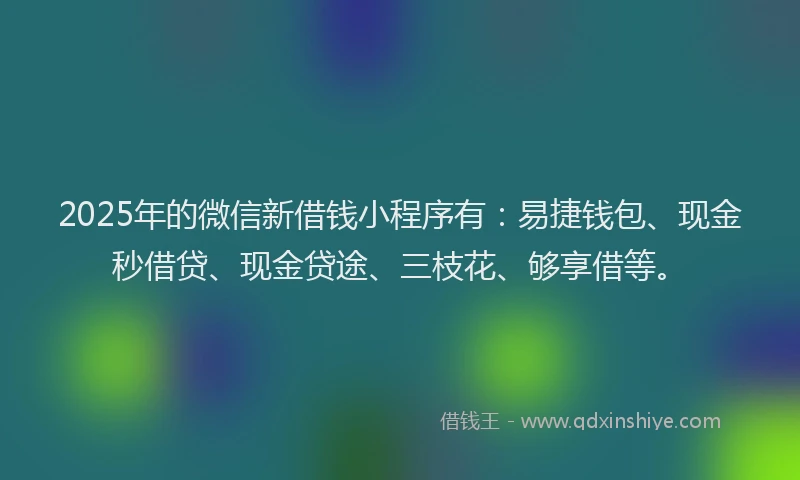 2025年的微信新借钱小程序有：易捷钱包、现金秒借贷、现金贷途、三枝花、够享借等。