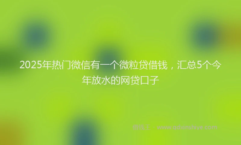 2025年热门微信有一个微粒贷借钱，汇总5个今年放水的网贷口子