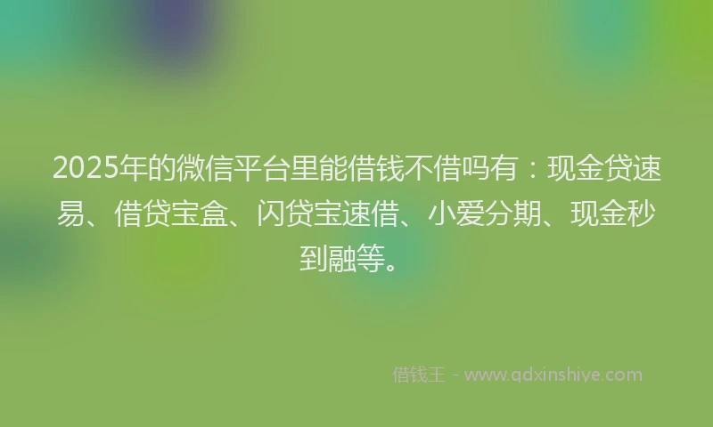 2025年的微信平台里能借钱不借吗有：现金贷速易、借贷宝盒、闪贷宝速借、小爱分期、现金秒到融等。