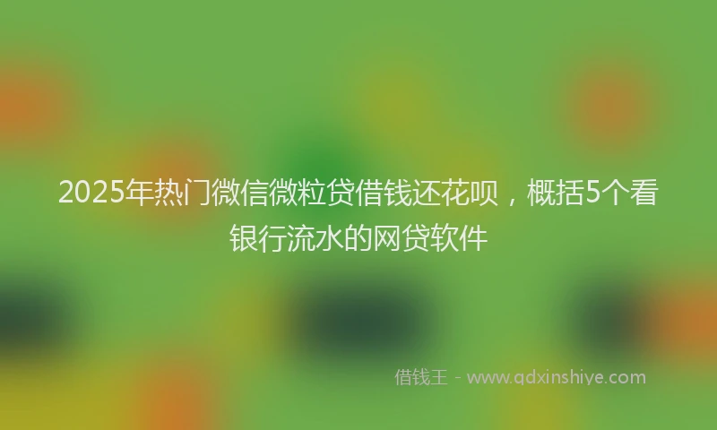 2025年热门微信微粒贷借钱还花呗，概括5个看银行流水的网贷软件