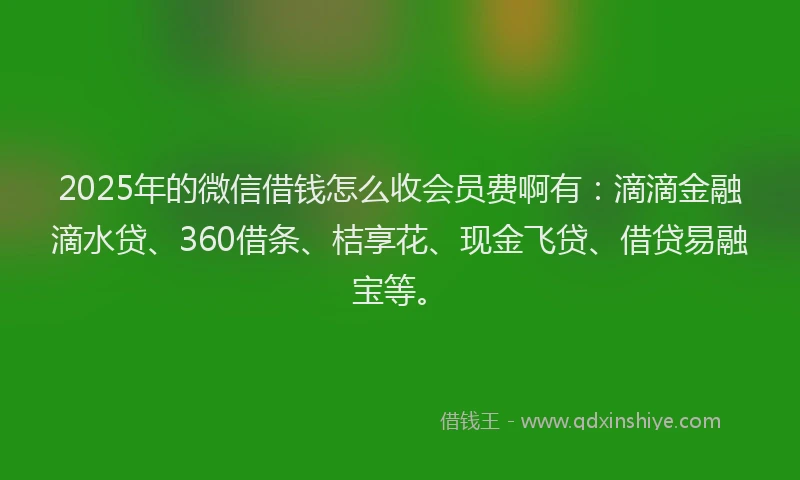 2025年的微信借钱怎么收会员费啊有：滴滴金融滴水贷、360借条、桔享花、现金飞贷、借贷易融宝等。
