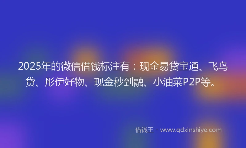 2025年的微信借钱标注有：现金易贷宝通、飞鸟贷、彤伊好物、现金秒到融、小油菜P2P等。