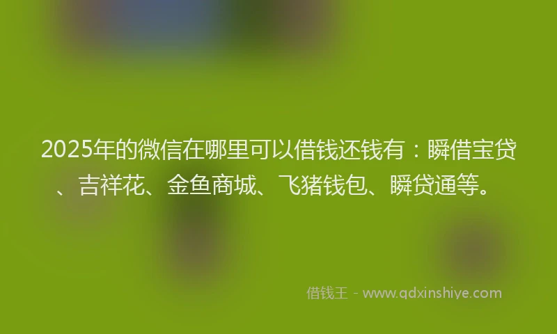 2025年的微信在哪里可以借钱还钱有：瞬借宝贷、吉祥花、金鱼商城、飞猪钱包、瞬贷通等。