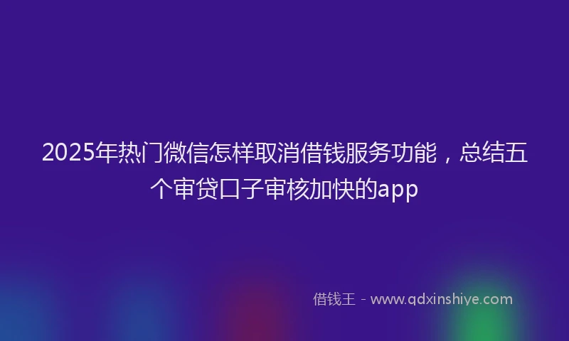 2025年热门微信怎样取消借钱服务功能，总结五个审贷口子审核加快的app