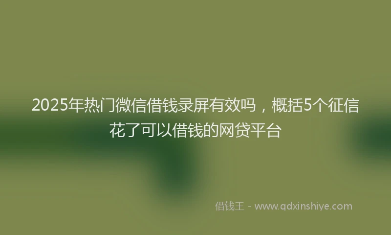 2025年热门微信借钱录屏有效吗，概括5个征信花了可以借钱的网贷平台