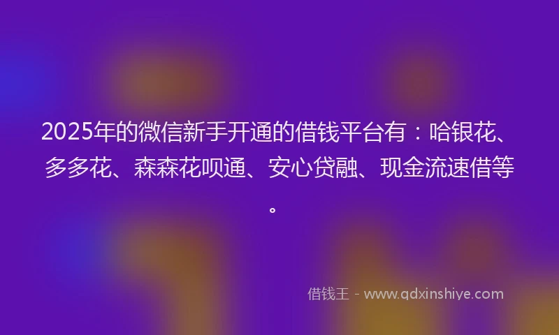 2025年的微信新手开通的借钱平台有：哈银花、多多花、森森花呗通、安心贷融、现金流速借等。
