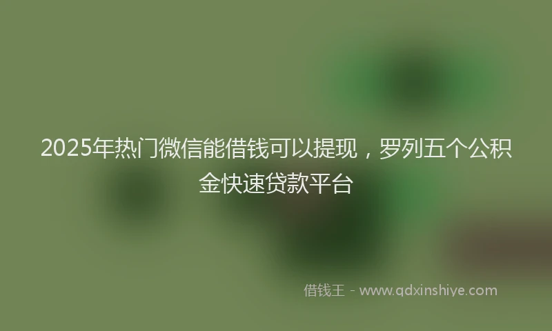 2025年热门微信能借钱可以提现，罗列五个公积金快速贷款平台